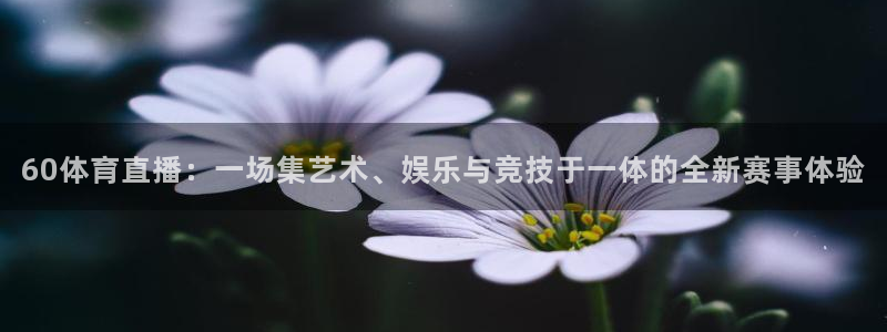 河豚体育：60体育直播：一场集艺术、娱乐与竞技于一体的全新赛事体验