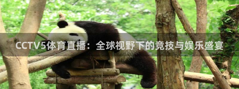 河豚在线nba直播：CCTV5体育直播：全球视野下的竞技与娱乐盛宴