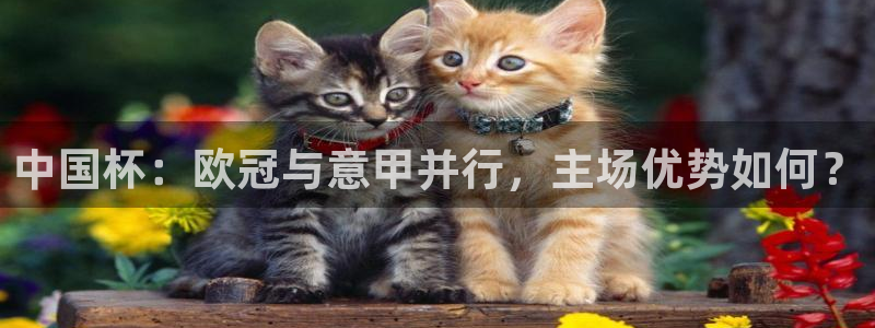 河豚体育在线观看直播：中国杯：欧冠与意甲并行，主场优势如何？