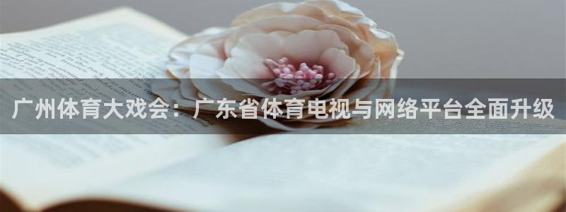 河豚体育nba在线直播：广州体育大戏会：广东省体育电视与网络平台全面升级