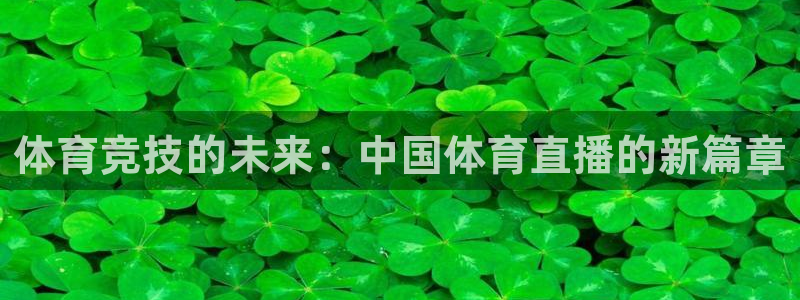 河豚体育nba在线直播：体育竞技的未来：中国体育直播的新篇章