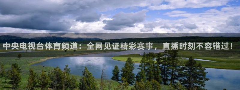 河豚体育app下载：中央电视台体育频道：全网见证精彩赛事，直播时刻不容错过！